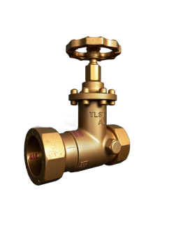 Heavy Duty Brass Gate Valve - 2" BSP Female