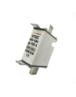 100A BLADE FUSE