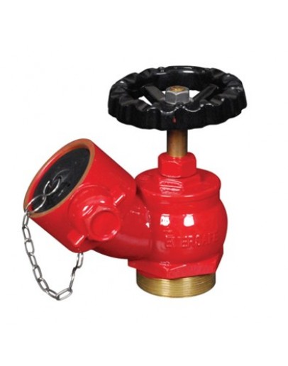 2 1/2"  THREADED LANDING VALVE (SPAN) [BELLO]