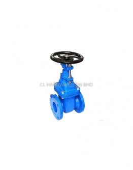 24" DI SLUICE VALVE (SPUR GEAR) [AVA]