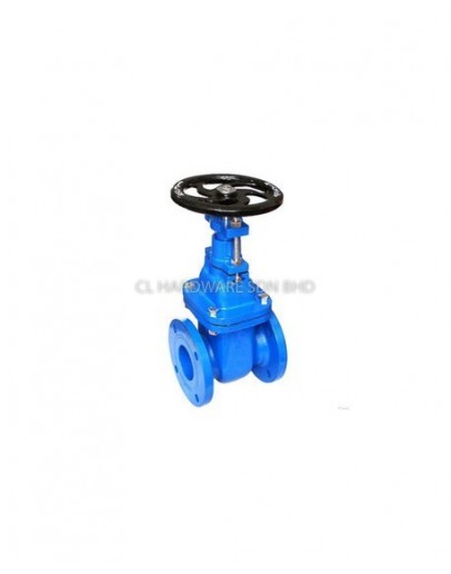 24" DI SLUICE VALVE (SPUR GEAR) [AVA]
