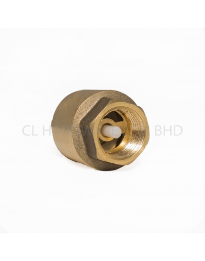 1/2" BRASS SPRING CHECK VALVE [CITY]