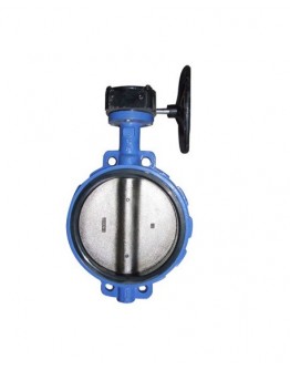 10" PVC BUTTERFLY VALVE (WORM GEAR) [LD VALVE]
