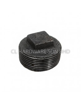 1/2" STEAM PLUG (BSEN10255) [FKK]