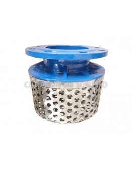 6" DI ROSE STRAINERS C/W STAINLESS STEEL BASKET