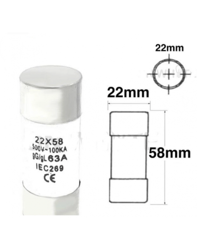 CH 100A CUT OUT FUSE (30X58MM)