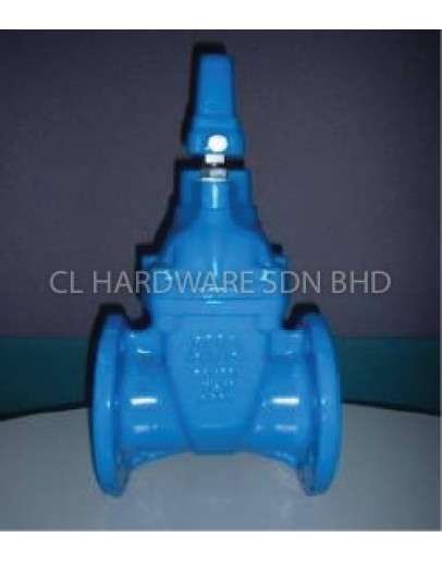 4" DI SLUICE VALVE (BS5163) [AVA]