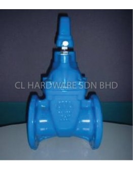 8" DI SLUICE VALVE (BS5163) [AVA]