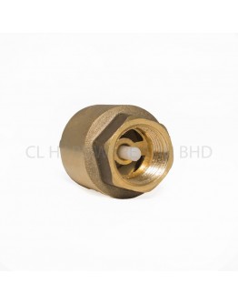 1" BRASS SPRING CHECK VALVE [CITY]