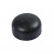 2" SGP END CAP