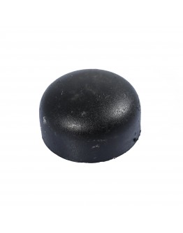 10" SGP END CAP