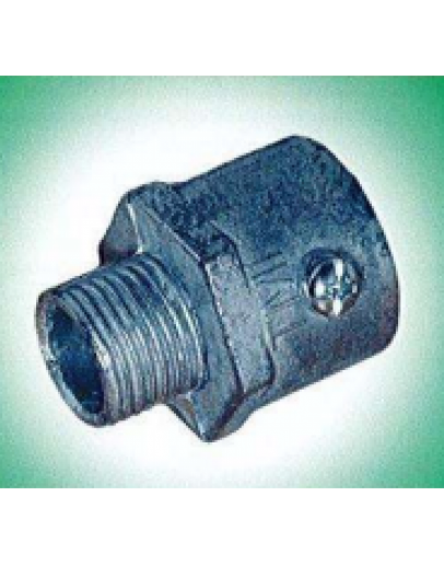 1" GI FLEX ADAPTOR C/W NUT [BENA]