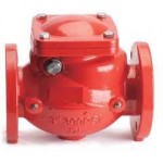 Check Valve