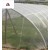 16# 1M X 30M ANTI-INSECT NET
