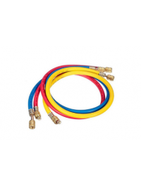Manifold
